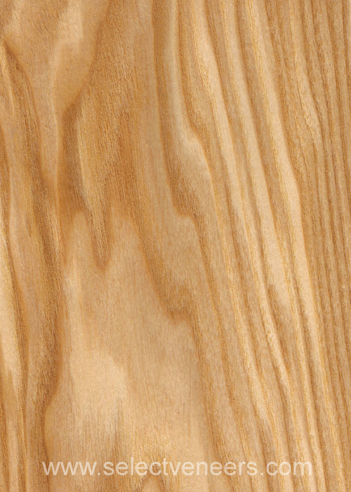 Veneer Image