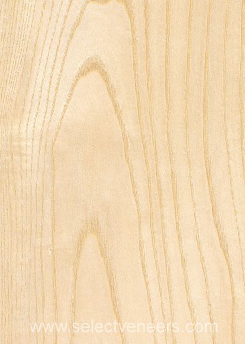 Veneer Image