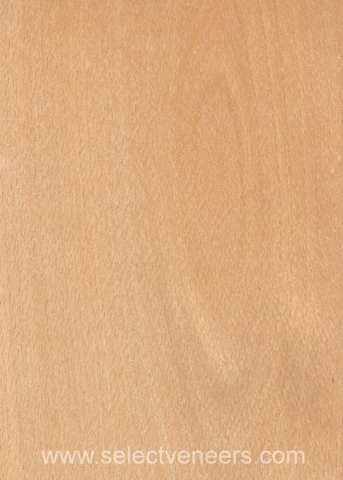 Veneer Image