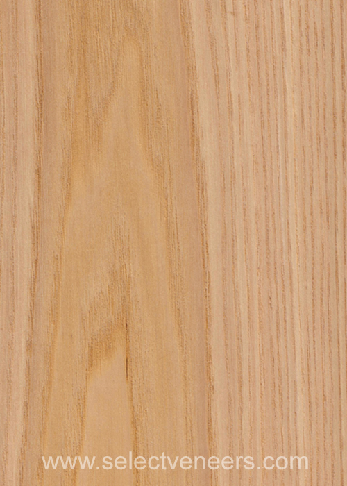 Veneer Image