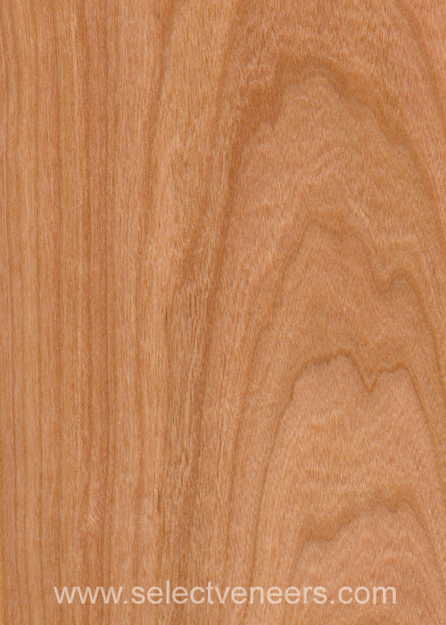 Veneer Image
