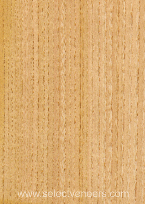 Veneer Image