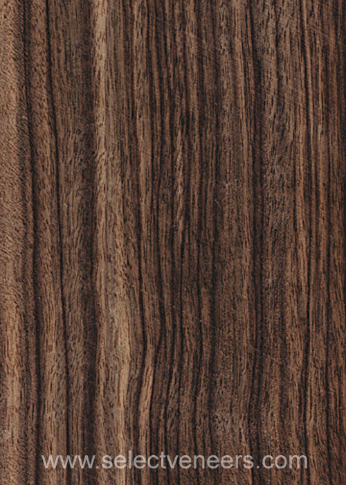 Veneer Image