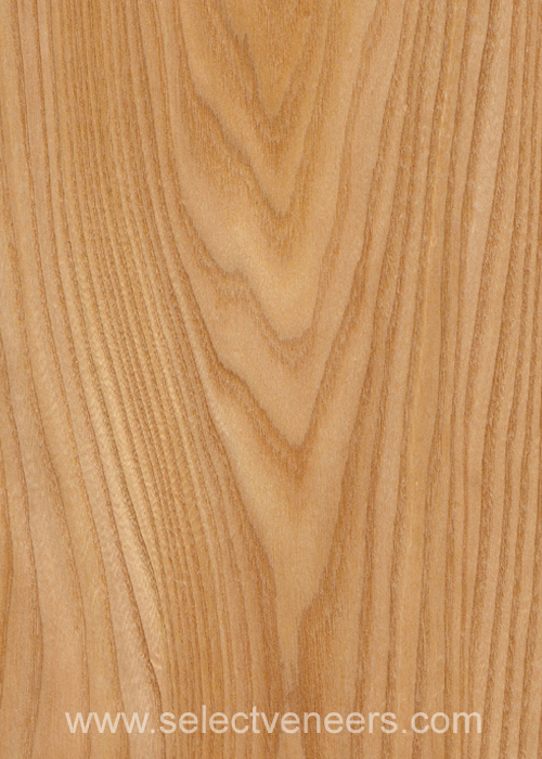 Veneer Image