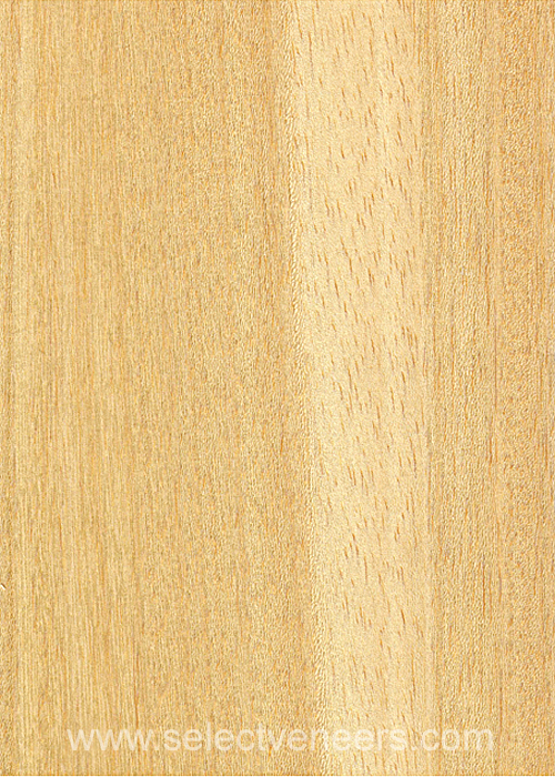 Veneer Image