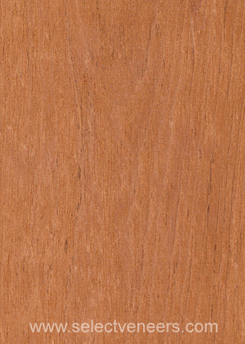 Veneer Image