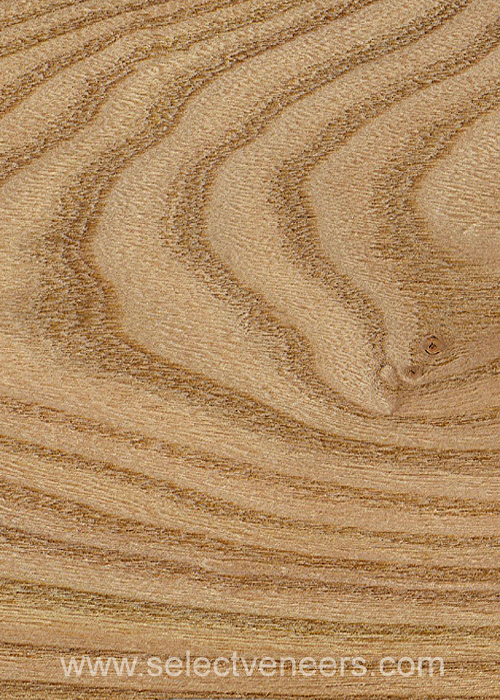 Veneer Image