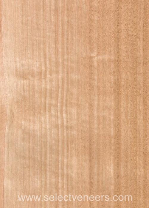 Veneer Image