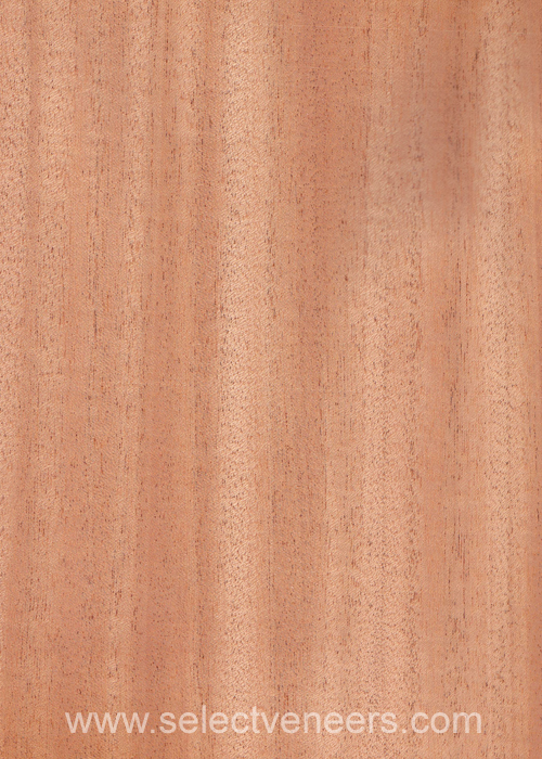 Veneer Image