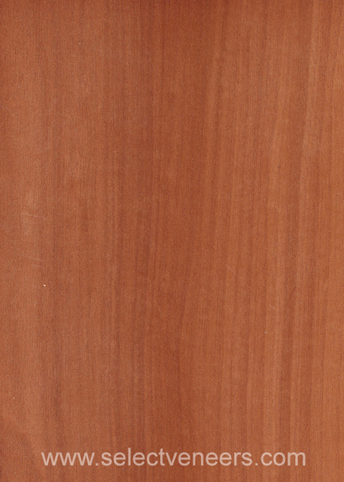 Veneer Image