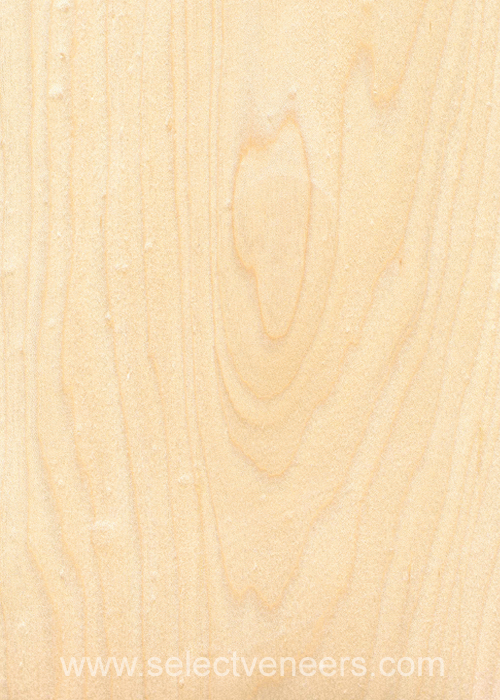 Veneer Image
