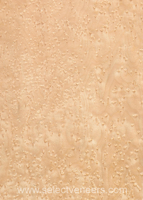 Veneer Image