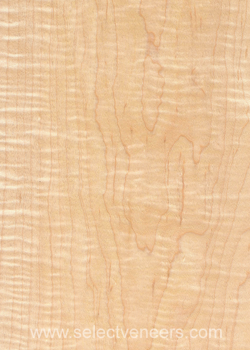 Veneer Image