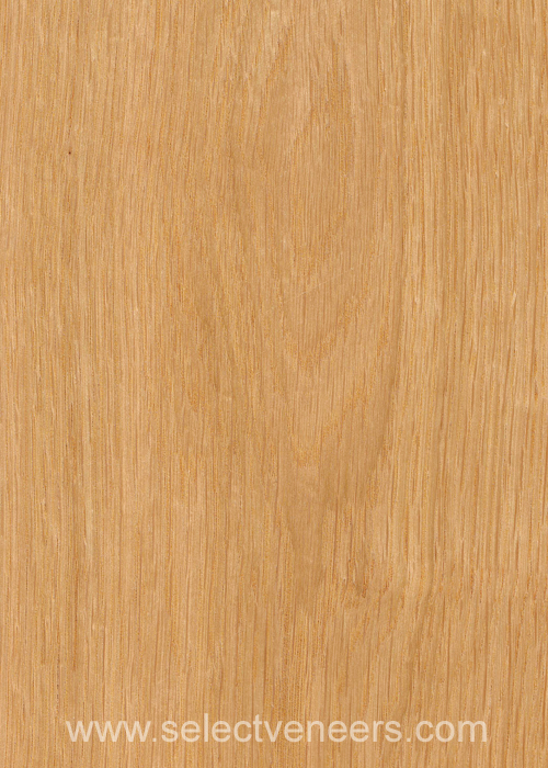 Veneer Image