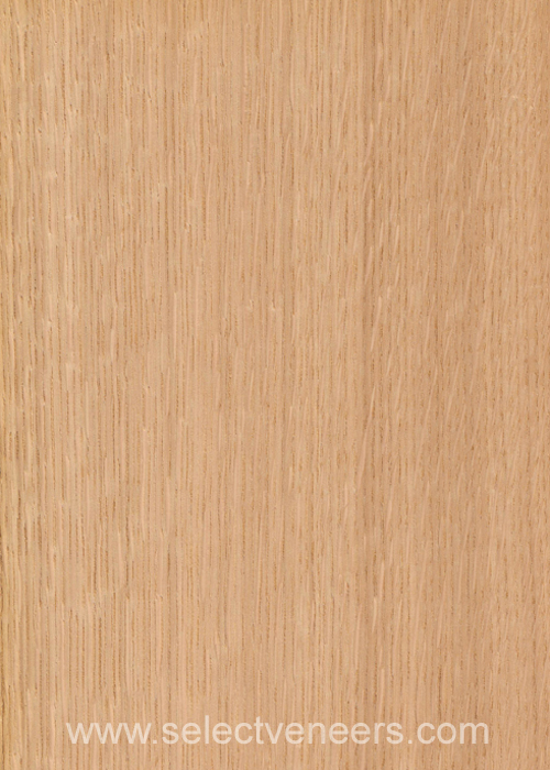 Veneer Image
