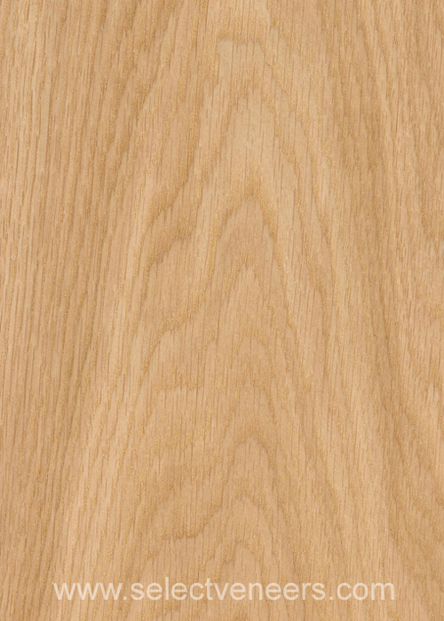 Veneer Image