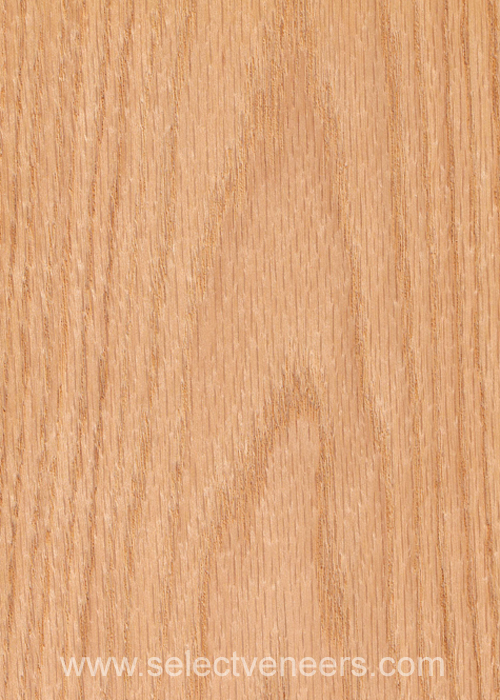 Veneer Image