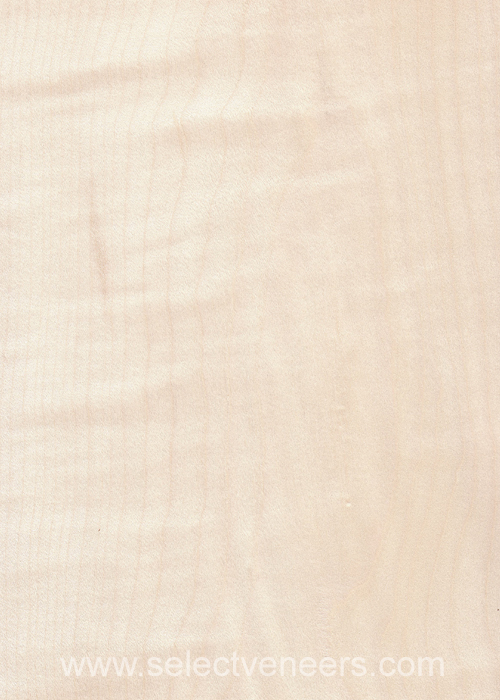Veneer Image