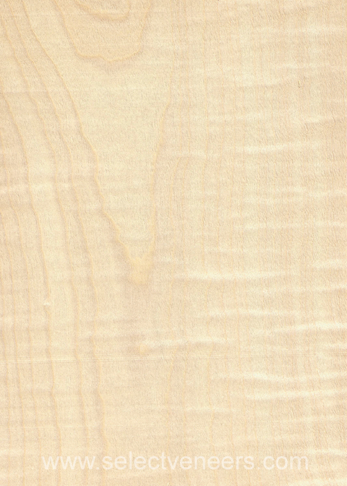 Veneer Image