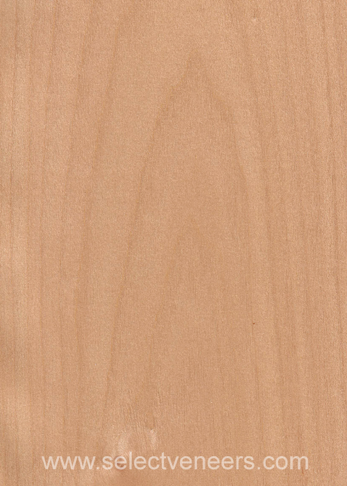 Veneer Image
