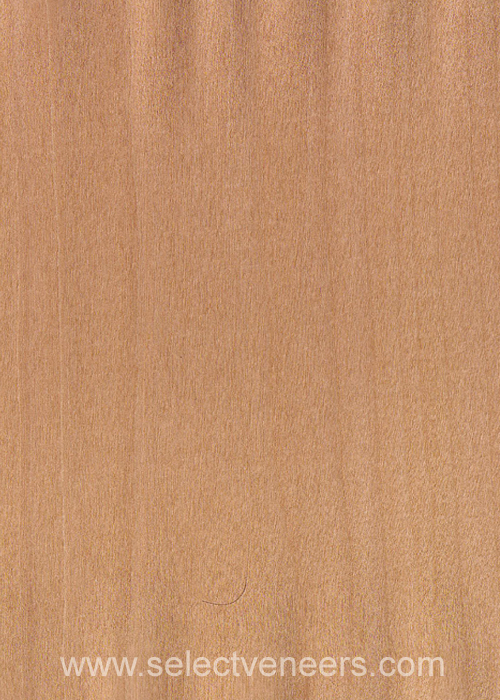 Veneer Image