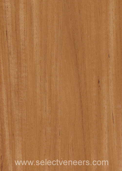 Veneer Image