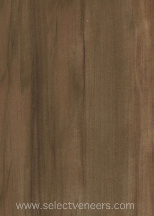 Veneer Image