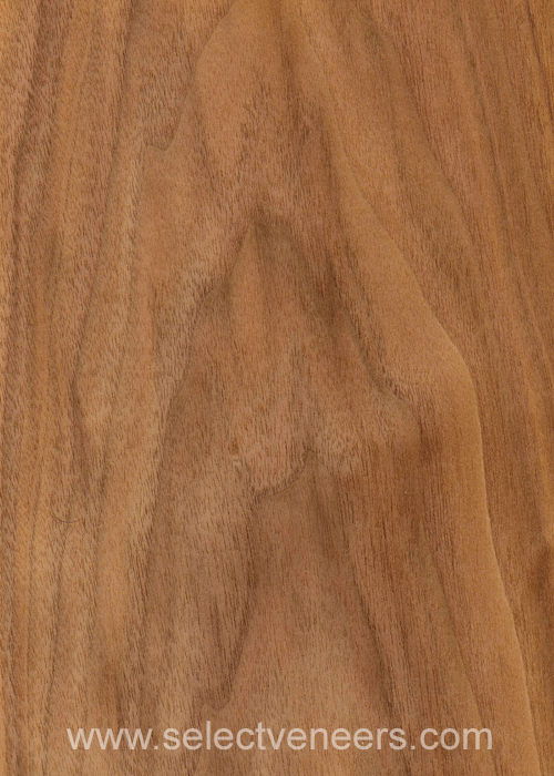 Veneer Image