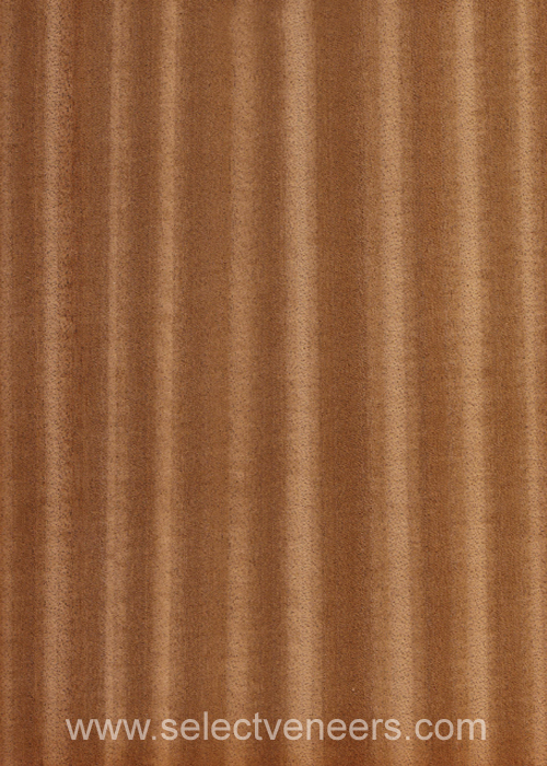 Veneer Image