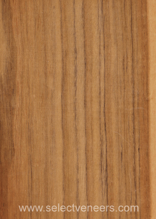 Veneer Image