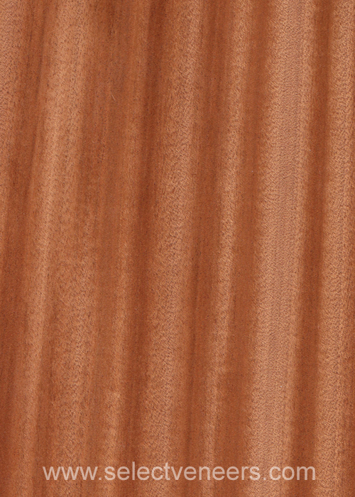 Veneer Image