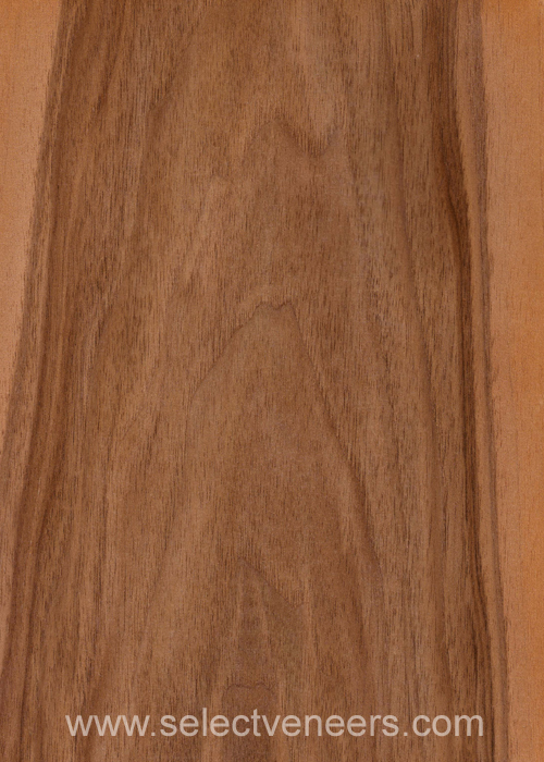 Veneer Image