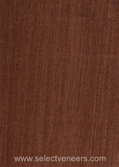 Veneer Image