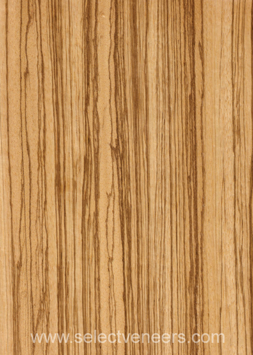 Veneer Image