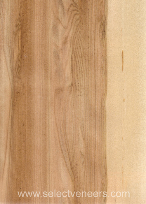 Veneer Image