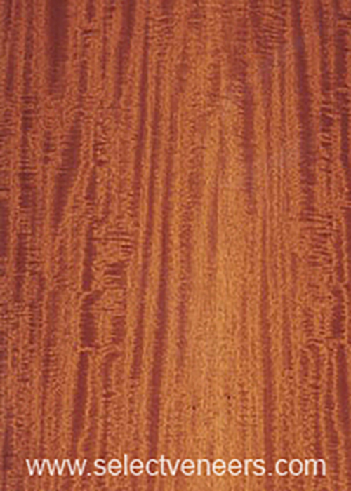 Veneer Image